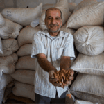 Gaza now a survival economy amid infrastructural collapse