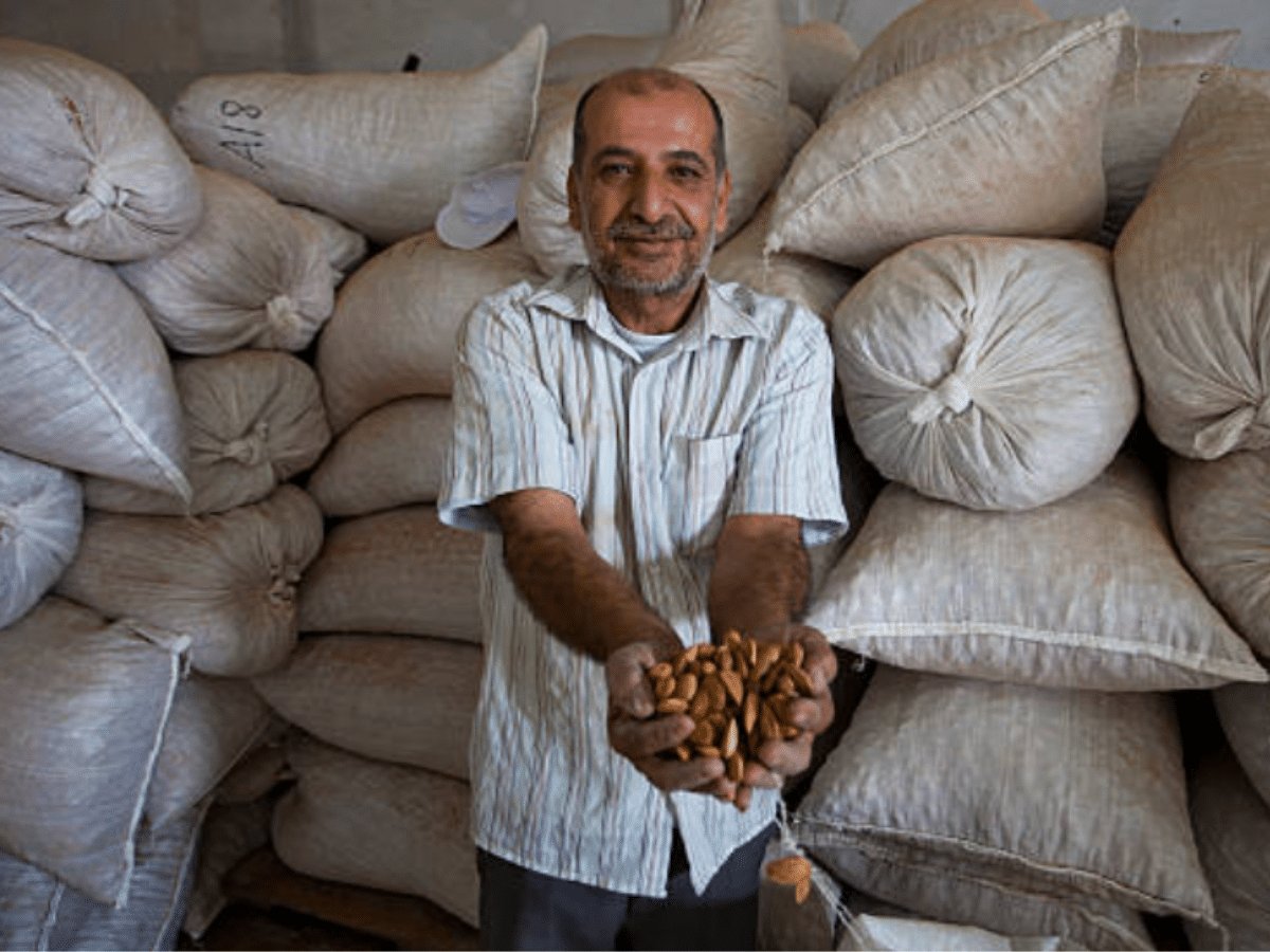 Gaza now a survival economy amid infrastructural collapse