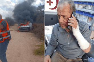 Israeli settlers attack AFP journalist and olive farmers