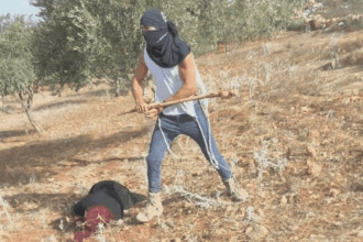 Israeli settlers terrorise Palestinians - again and again