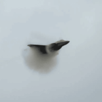 NI minister shamed by campaign group over F-35 production