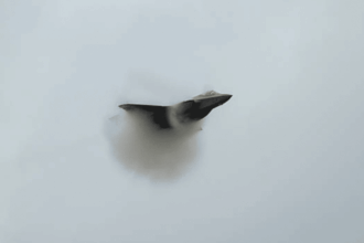 NI minister shamed by campaign group over F-35 production