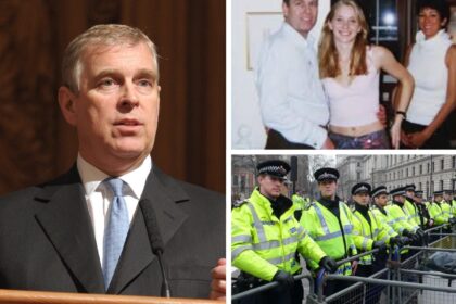 Now it's emerged Andrew tried to get cops to spy on Virginia Giuffre