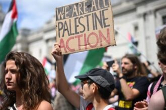 Palestine Action’s activities below level for 'terrorism' ban, CTB