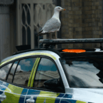 Police inquiry still letting racist officers avoid scrutiny