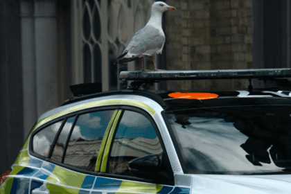 Police inquiry still letting racist officers avoid scrutiny