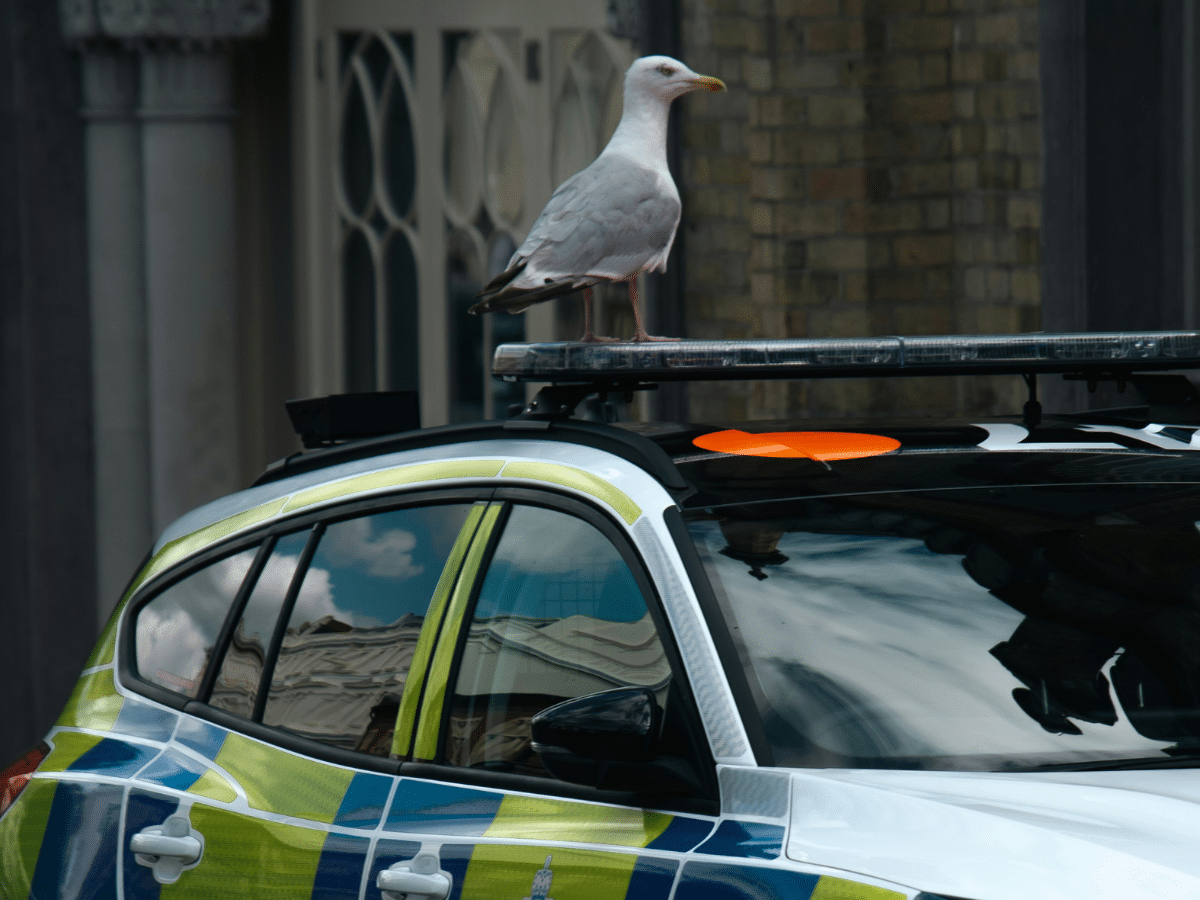 Police inquiry still letting racist officers avoid scrutiny