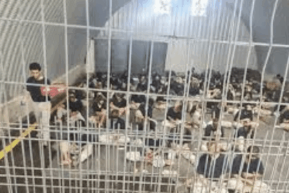 Prisoner Execution — Ben-Gvir to turn cells into death chambers