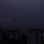 Russia/Ukraine: Blackout in Chernihiv exposes Russia’s unlawful attacks on civilian infrastructure