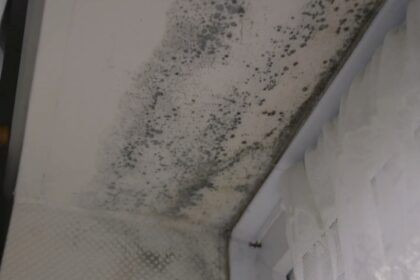Social housing landlords now forced to tackle mould and damp
