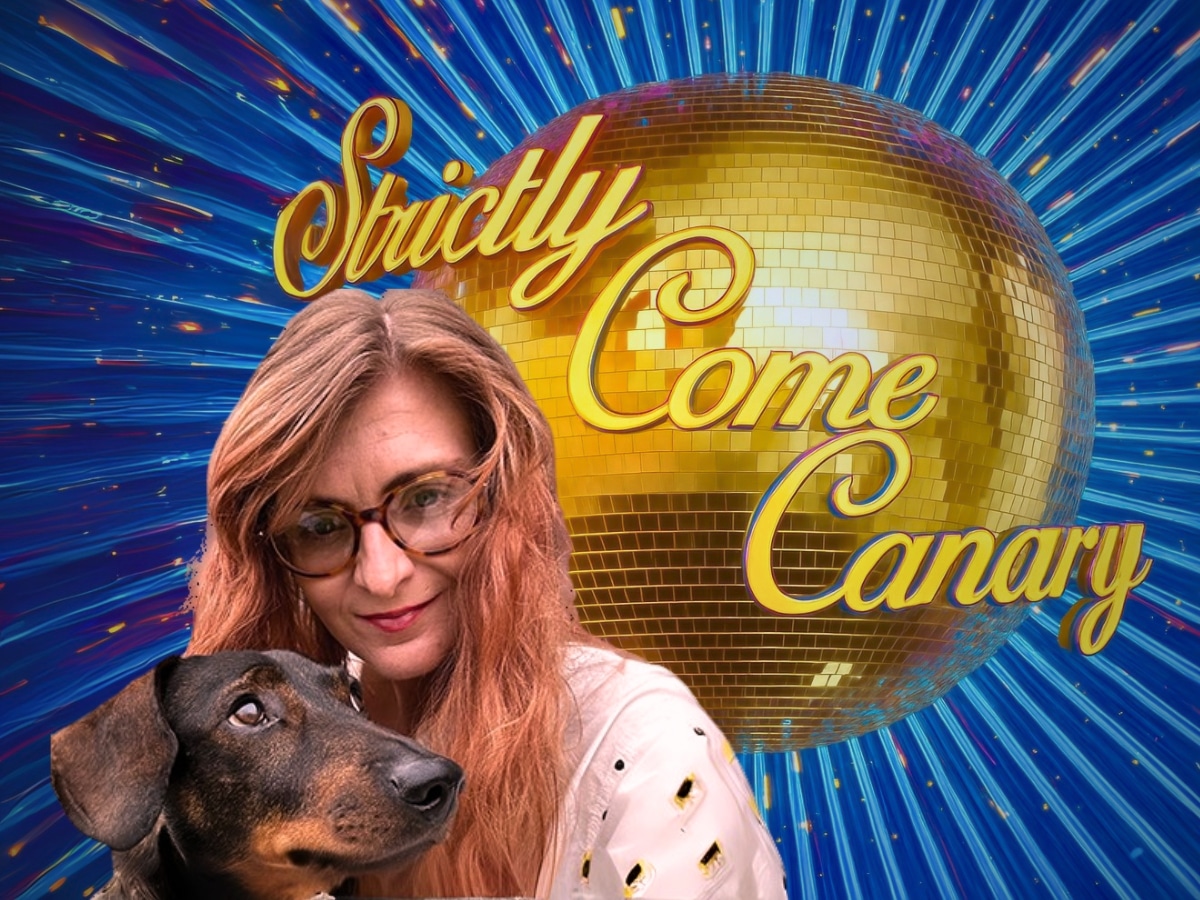 Strictly Come Dancing, week two: right-wing thug Skinner GONE