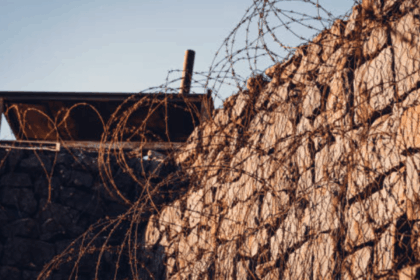 Testimony reveals horrific torture of Palestinians in Israel's prisons