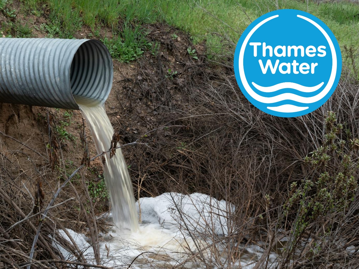 Thames Water is planning 15 years more of pollution