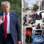 Trump's homeless 'warehouses' look like the next big swindle