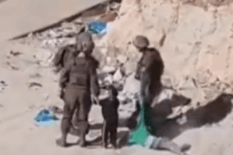 Video: Israeli troops abduct small children in West Bank