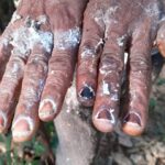 Workers’ rights abused in plantations linked to Soguipah in Guinea