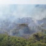 breeding grounds of the next pandemic