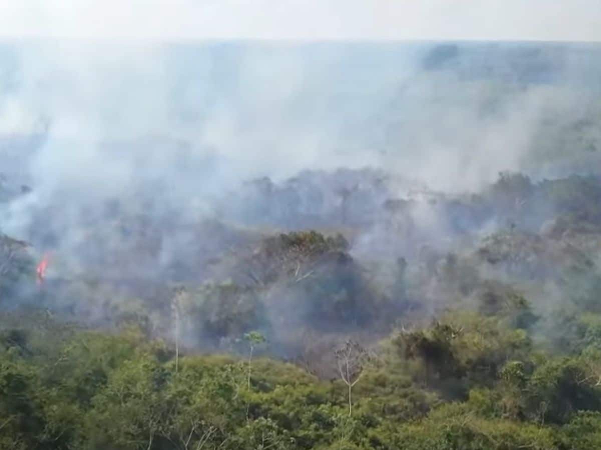 breeding grounds of the next pandemic