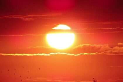 capitalism’s plan to ‘fix’ the climate it broke