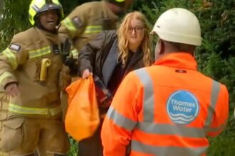 inside the creditor war for control