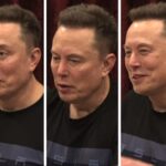 Elon Musk claims the hobbits of England are at risk