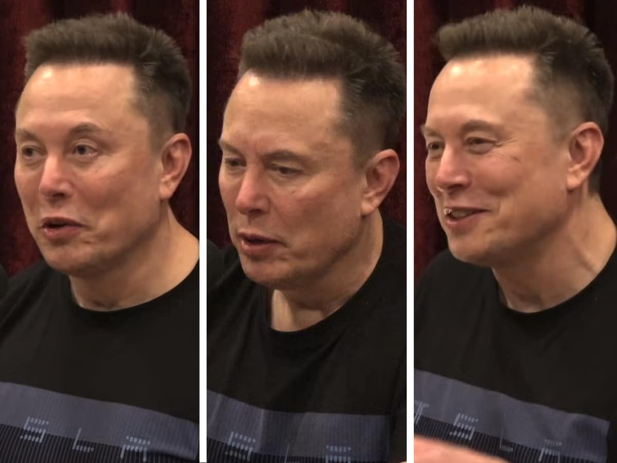 Elon Musk claims the hobbits of England are at risk