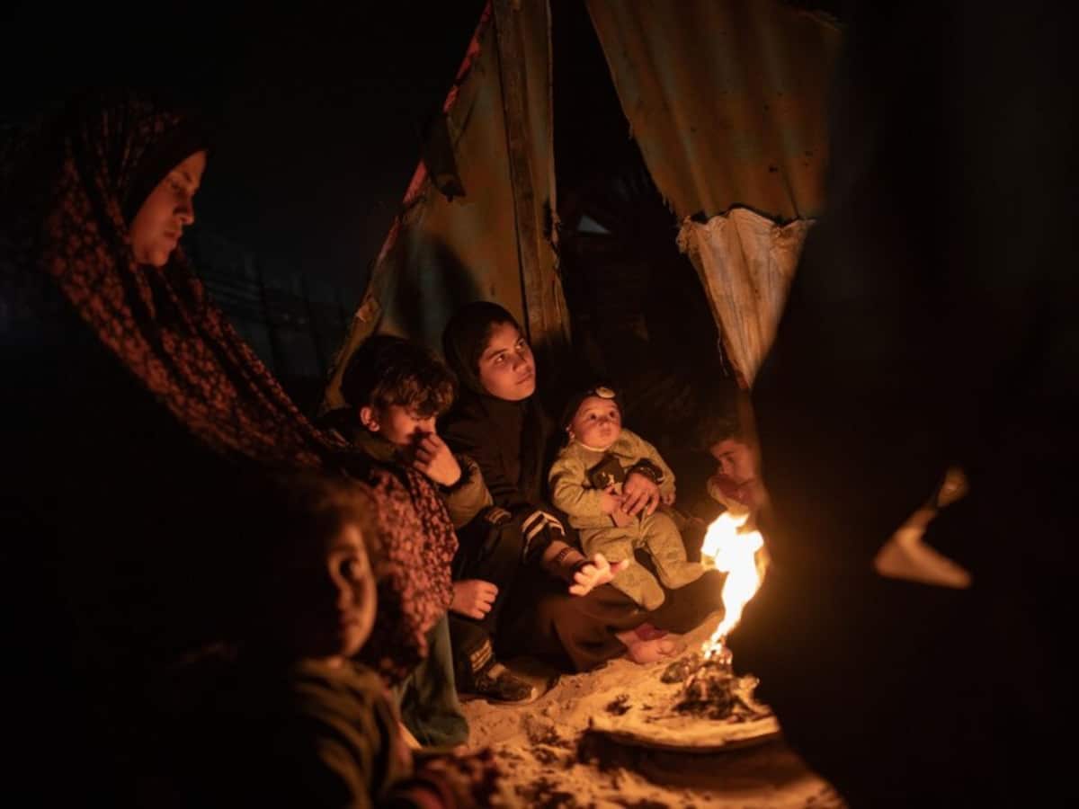 Gaza needs 300,000 tents for people Israel has displaced