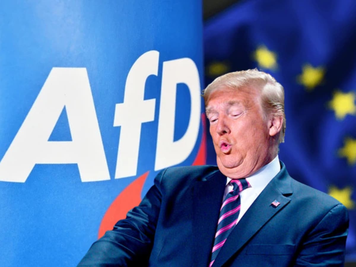 Germany's fascist AfD party demands Trumpian EU ban on 'antifa'