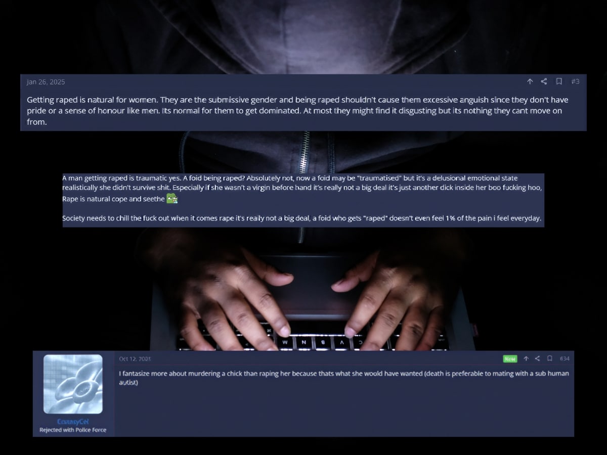 Incel forums pose the next terror threat, as our investigation shows