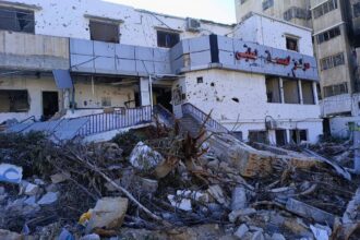 Israel intentionally destroyed Gaza fertility clinic, says ex-UN head