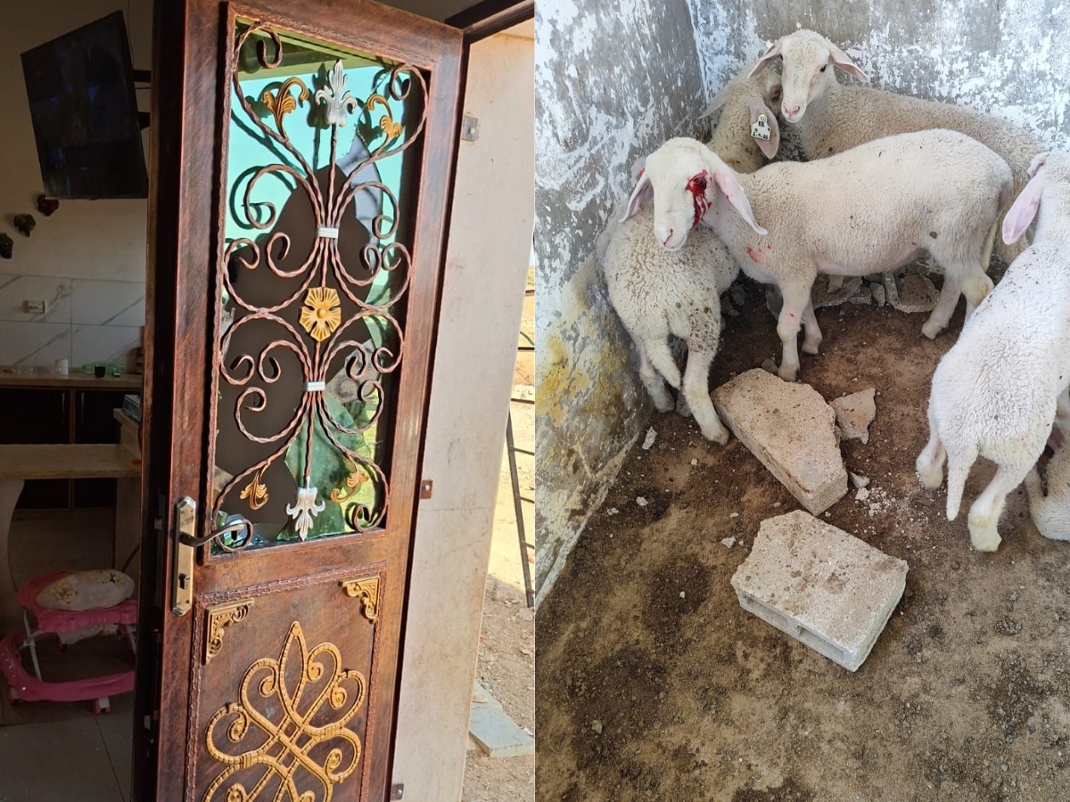 Israeli settlers shocking violence against Palestinian family