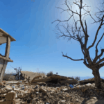 Israel’s ecocide turns southern green spaces to ash