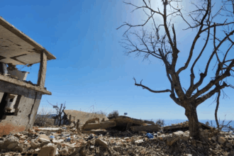 Israel’s ecocide turns southern green spaces to ash