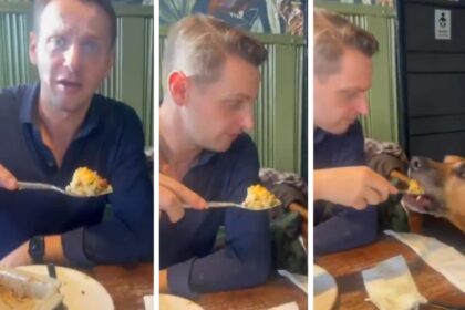 Mike Tapp won't say if he's dewormed Scooby as piegate grows