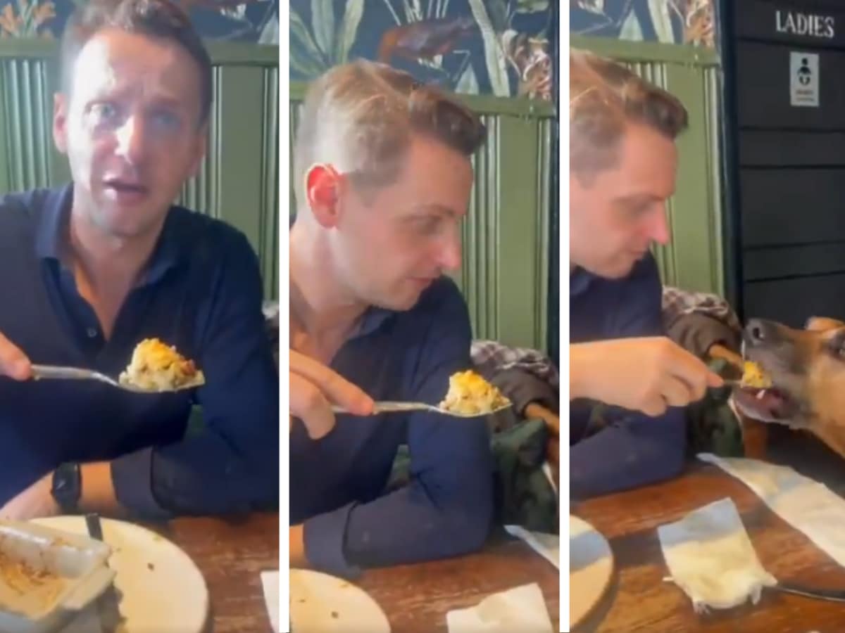 Mike Tapp won't say if he's dewormed Scooby as piegate grows