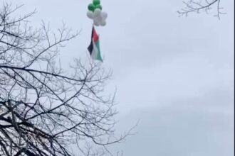 Palestinian flag flies over City Hall despite council block