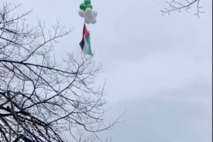 Palestinian flag flies over City Hall despite council block