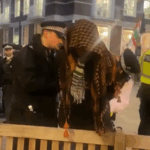 Police tackle elderly disabled Palestinian activist