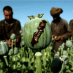 RAF denies dropping opium seeds in support of CIA