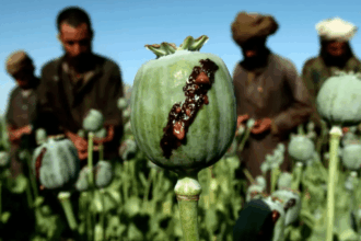 RAF denies dropping opium seeds in support of CIA