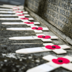 Remembrance Day poppy wankers head for fainting couches