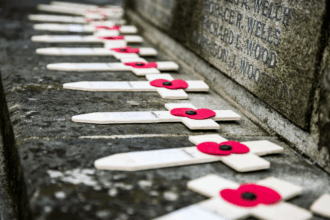 Remembrance Day poppy wankers head for fainting couches