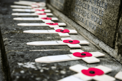 Remembrance Day poppy wankers head for fainting couches