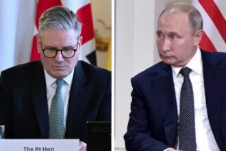 Russian interference — Petition for inquiry reaches key milestone