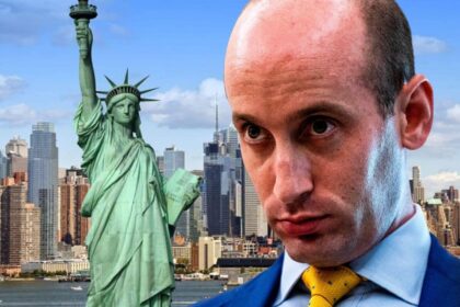Stephen Miller threatens New York after Mamdani wins election