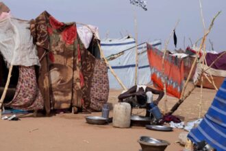 Sudan: El Fasher survivors tell of deliberate RSF killings and sexual violence – new testimony