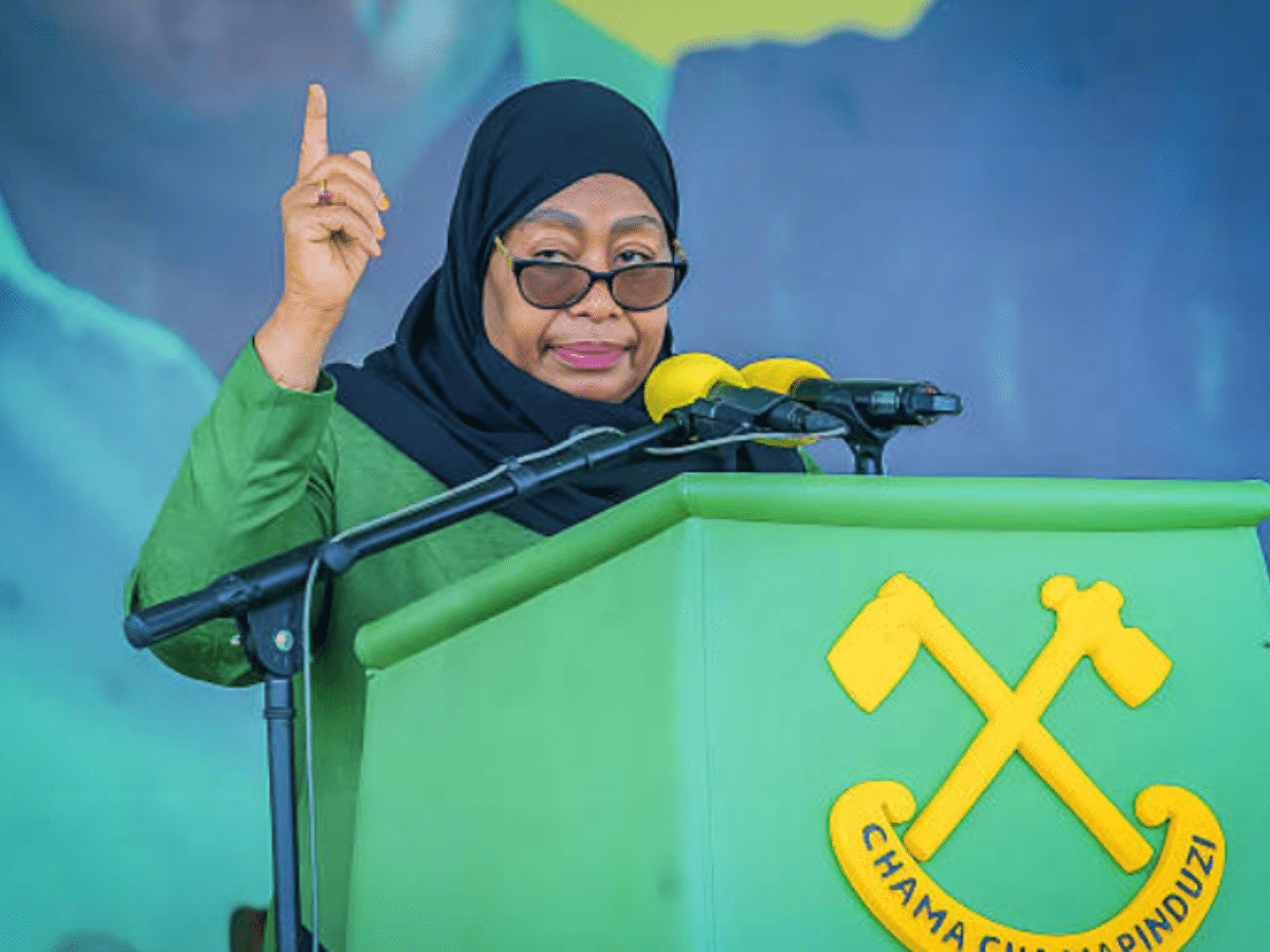 UAE ties to Tanzania under scrutiny