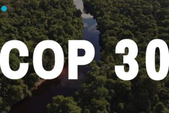 a climate summit tainted by oil and deforestation