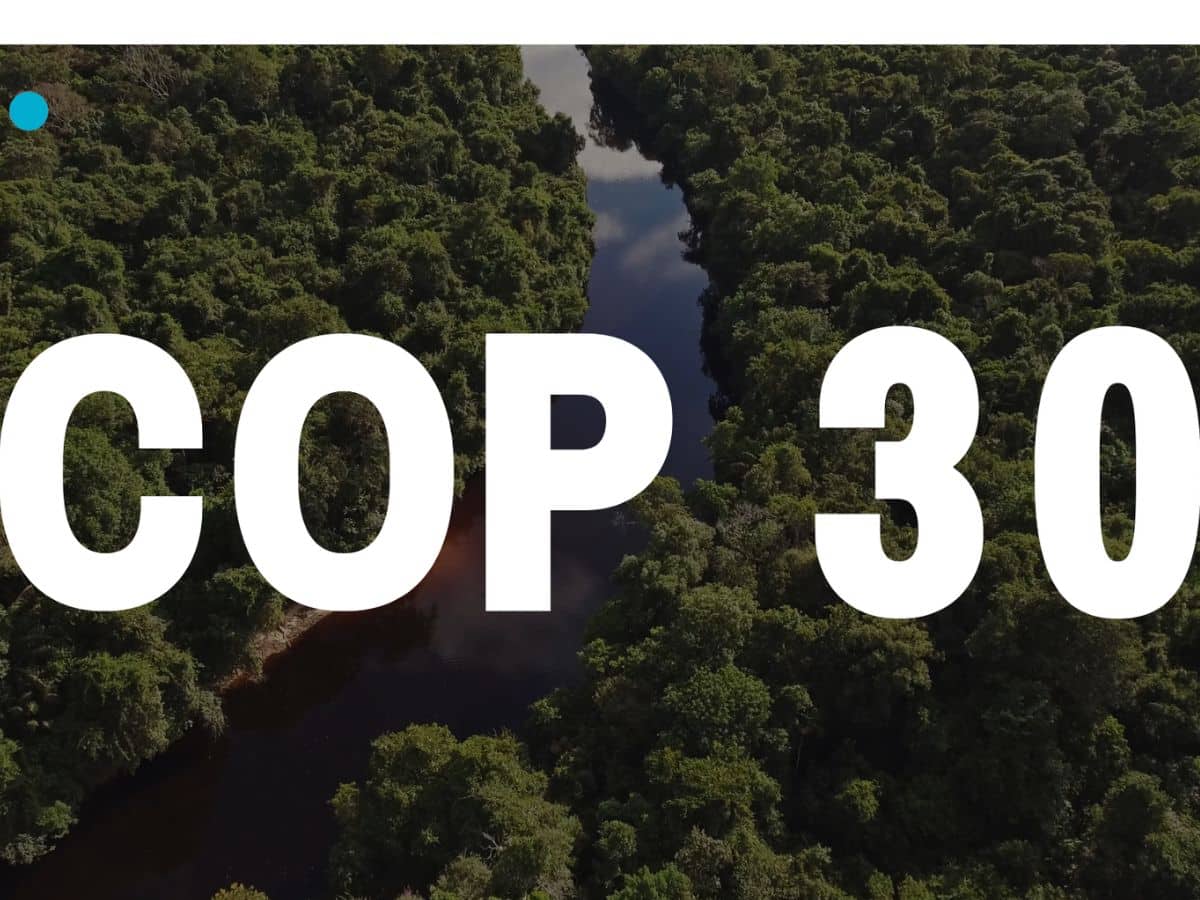 a climate summit tainted by oil and deforestation