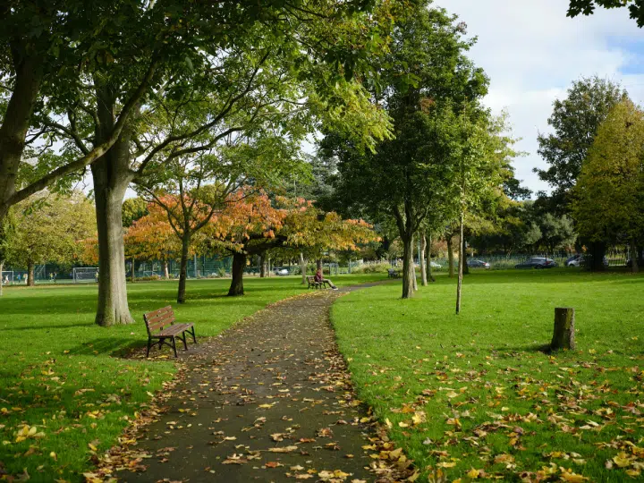 Dublin park likely to keep name of Zionist war criminal